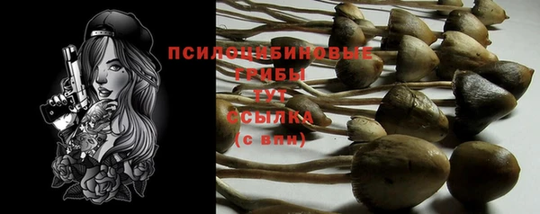 гашиш Алексин