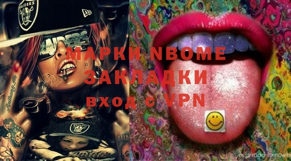 прущие грибы Сатка