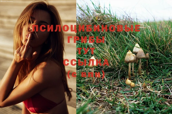 гидропоника Алзамай