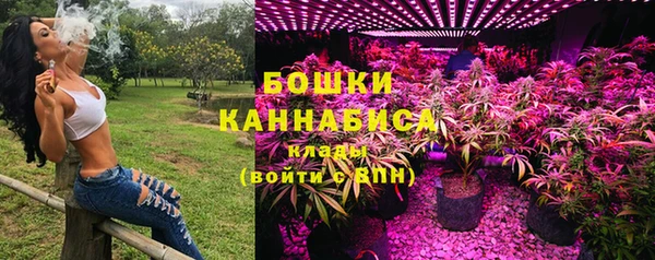 прущие грибы Сатка