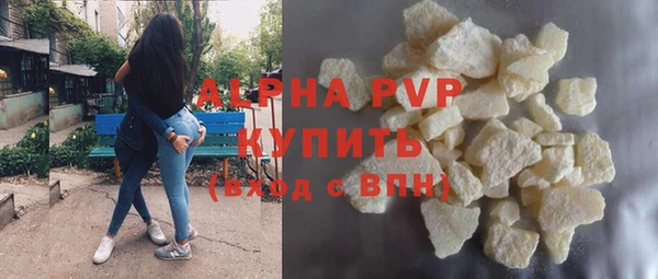 прущие грибы Сатка
